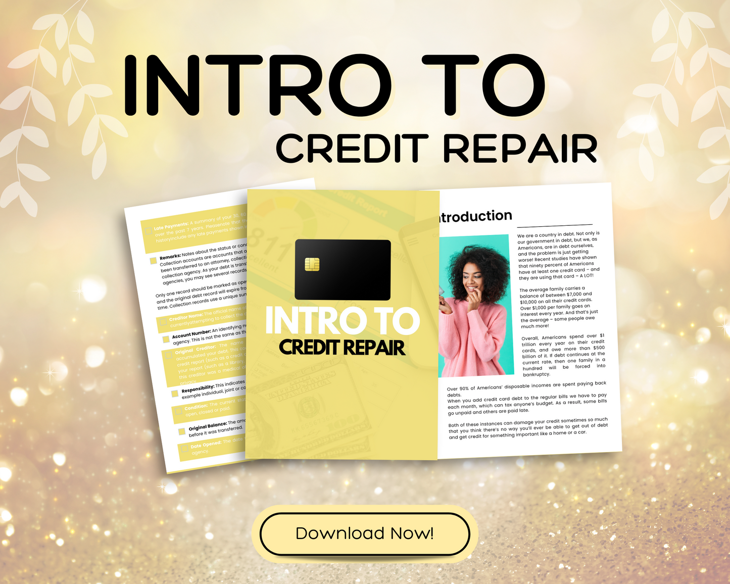 DIY CREDIT REPAIR EBOOK with MRR